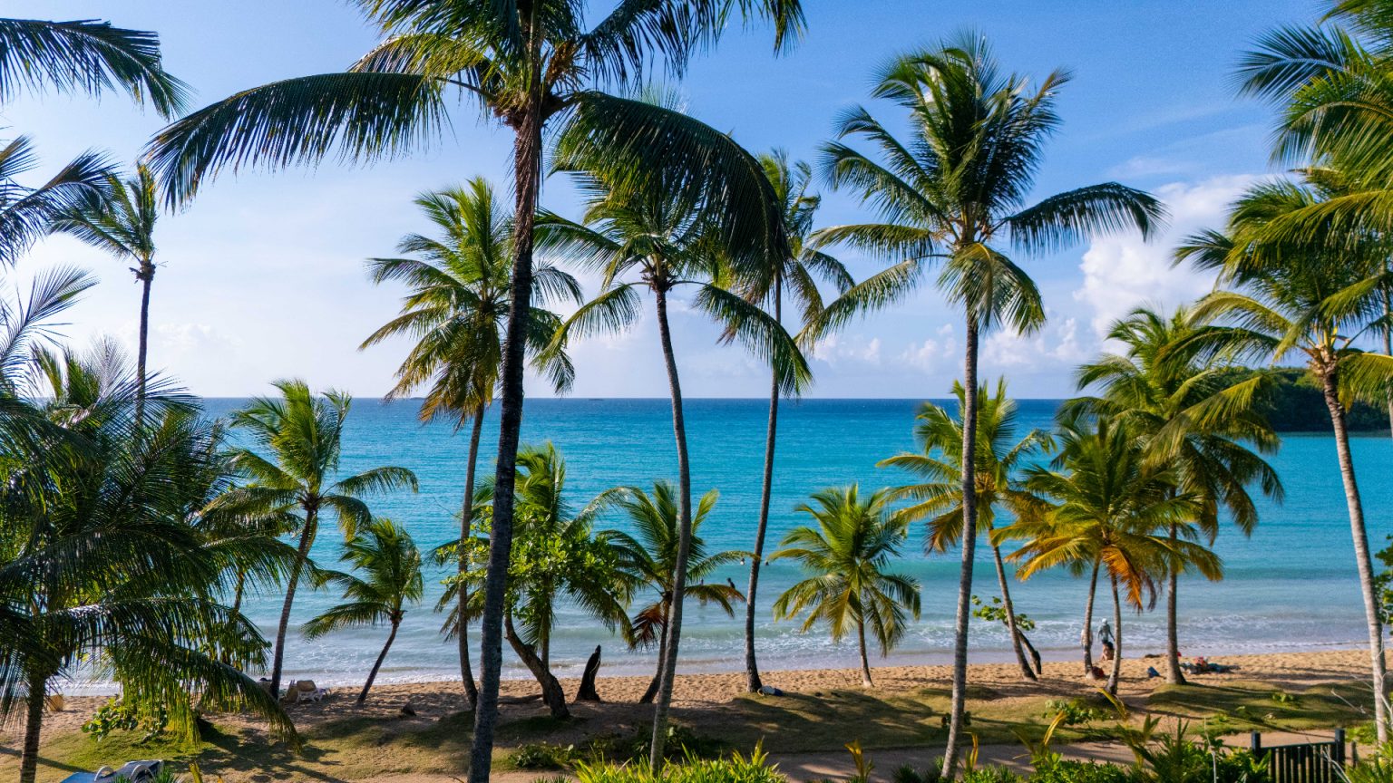 optimized_1920px_Photo Drone-34